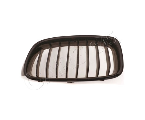 Radiator grill fits - grill, n/s